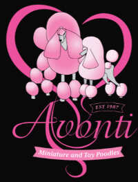 Avonti logo